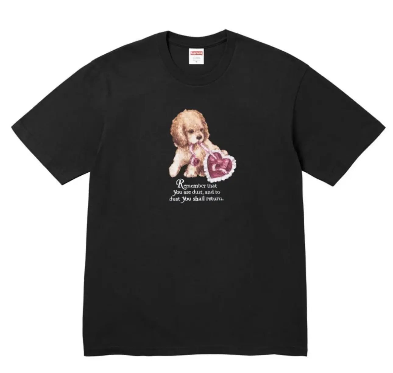 Supreme® “Dust Tee” Black SZ XL
