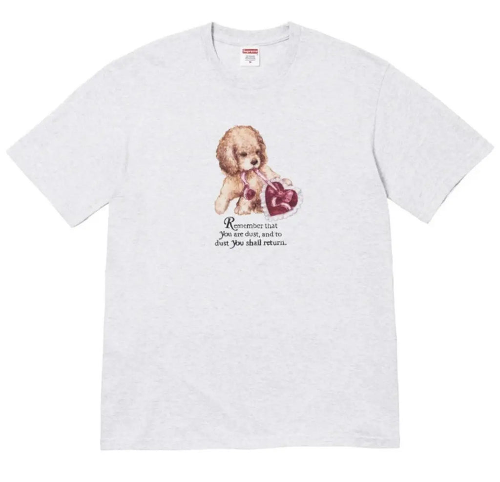 Supreme® “Dust Tee” Heather Grey SZ XL